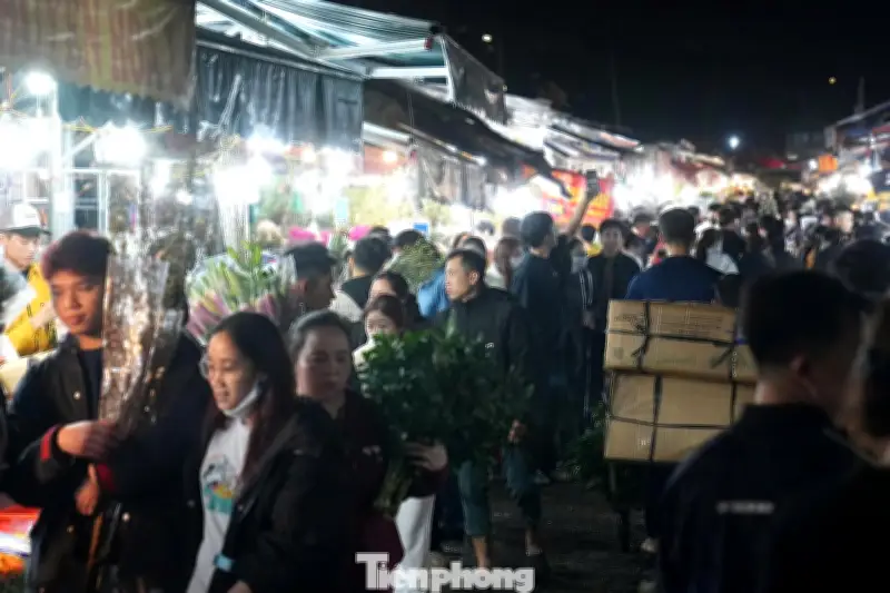 Chợ Hoa Quảng Bá Tấp Nập Đêm Khuya, Giá Hoa Tăng Mạnh Dịp Cận Tết