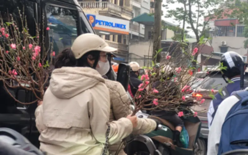 Chợ Hoa Tân Mai: Điểm Hẹn Tết Đẹp Rực Rỡ, Ngập Tràn Sắc Xuân Vui Tươi