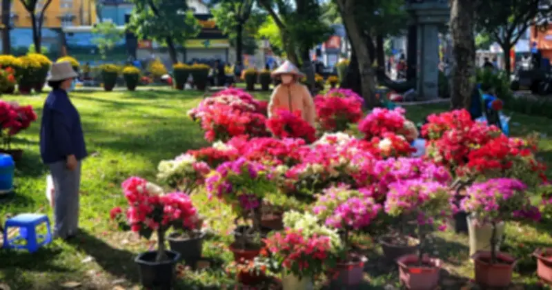 Chợ hoa Tết 23/9 sắp vãn: Tiểu thương xả hàng giảm sâu, không còn cảnh bỏ hoa