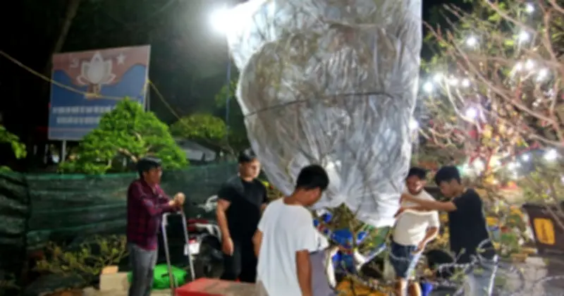 Chợ Hoa Tết Long Xuyên: Đại Gia Săn Mai 'Khủng' Xuyên Đêm, Nhà Vườn Livestream Giải Cứu Hàng