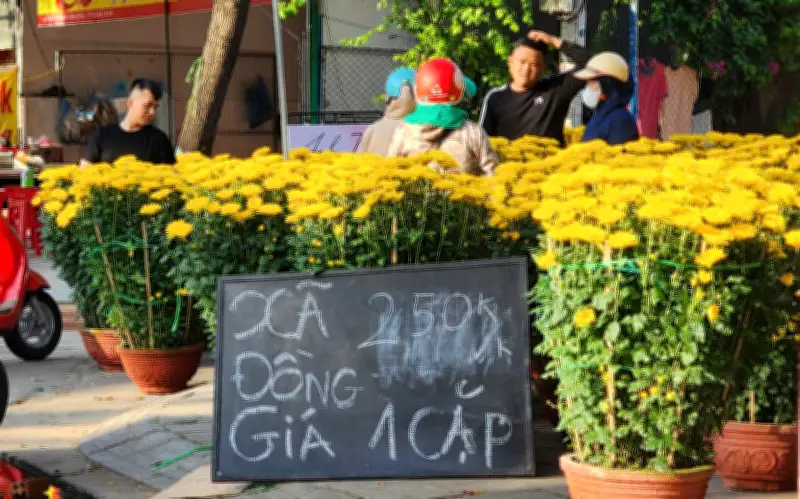 Chợ hoa Tết Quảng Ngãi ế ẩm, tiểu thương đồng loạt xả hàng nhưng vẫn khó bán