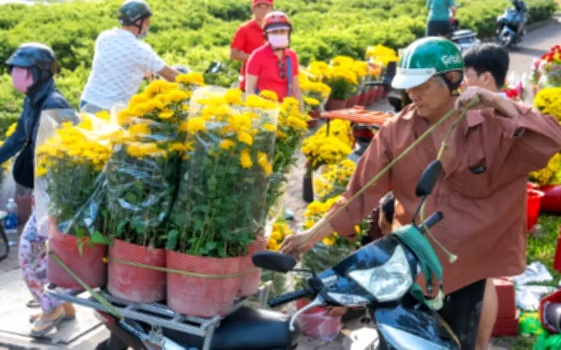 Chợ hoa Tết TP.HCM: Giảm giá sâu, người dân tranh thủ mua hoa cuối mùa