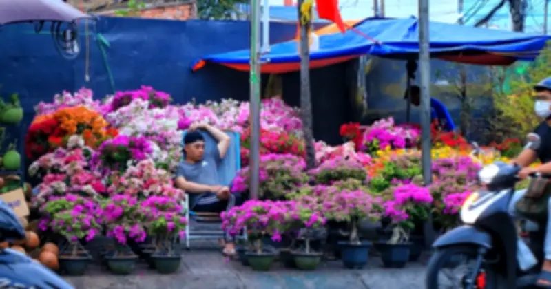 Chợ hoa xuân TP.HCM rộn ràng sắc Tết, tiểu thương bán giá bình dân mong về quê đúng giao thừa