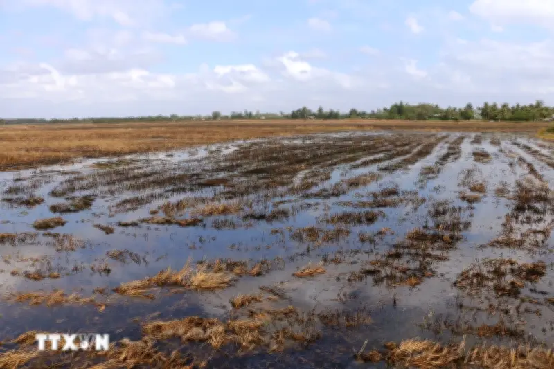 Chủ động ứng phó xâm nhập mặn ở ĐBSCL và hạn hán ở Nam Trung Bộ, Đông Nam Bộ