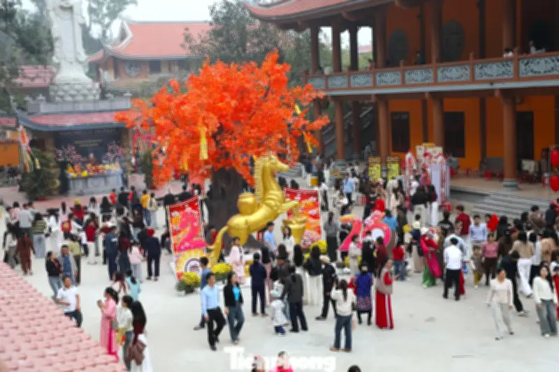 Chùa Cổ Am Nghệ An: Điểm tâm linh thu hút hàng nghìn người du xuân đầu năm