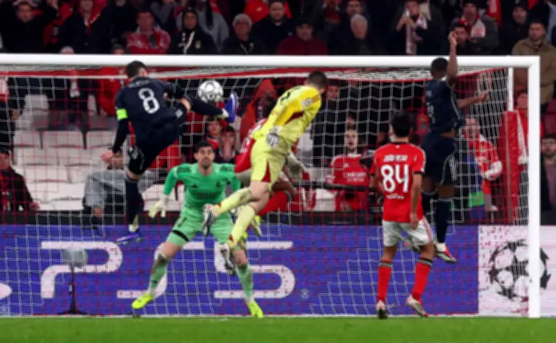 Champions League 2025-2026: Benfica - Real Madrid thắp sáng vòng play-off với loạt trận đấu đầy kịch tính