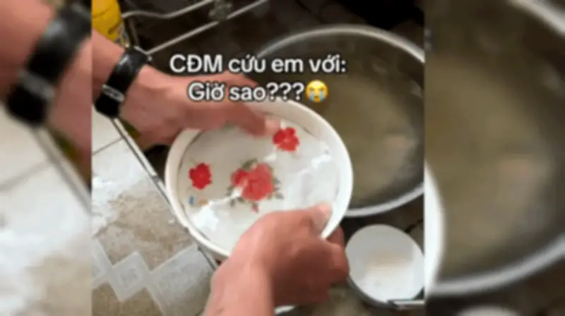 Chiếc đĩa kẹt cứng trong tô: Bí ẩn vật lý thu hút hơn 5 triệu lượt xem