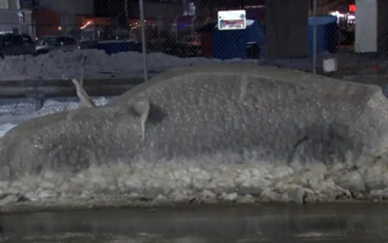 Chiếc Honda Civic đóng băng thành 'tượng đài' ở Mỹ, cô giáo nhận xe mới từ thiện