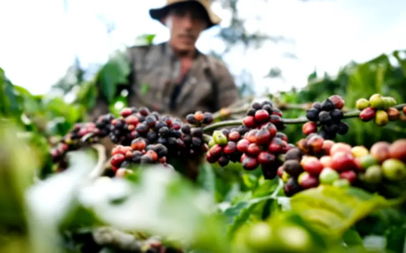 Trung Quốc yêu cầu thư xác nhận và đăng ký doanh nghiệp cho 2.589 mặt hàng nông sản nhập khẩu