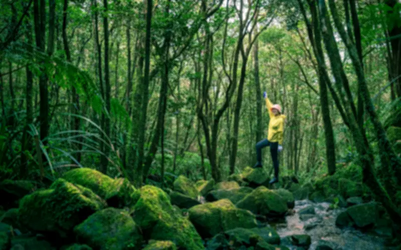 Chinh Phục Đỉnh Pa Thiên - Voi Mẹp: Hành Trình Trekking Hòa Quyện Thiên Nhiên Và Lịch Sử