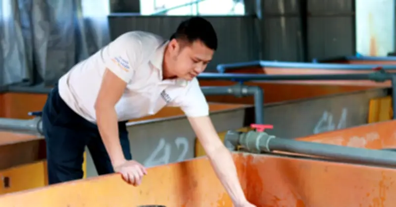 Chàng trai Hà Tĩnh thu hơn 6 tỷ mỗi năm từ mô hình nuôi lươn không bùn