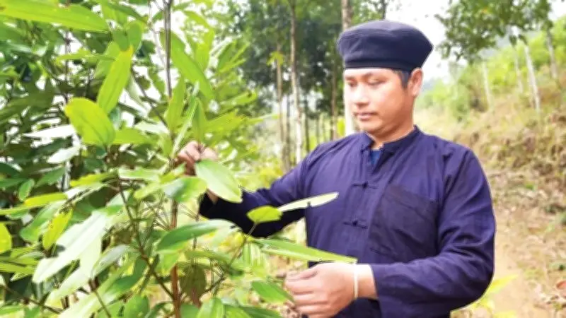 Chàng trai H'Mông đen Dương Văn Ngoan: Bí thư trẻ dẫn dắt thôn bản thoát nghèo và gìn giữ văn hóa