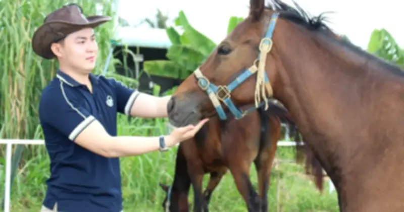Chàng Trai Tây Ninh Và Hành Trình Bảo Tồn Những Giống Ngựa Quý Hiếm