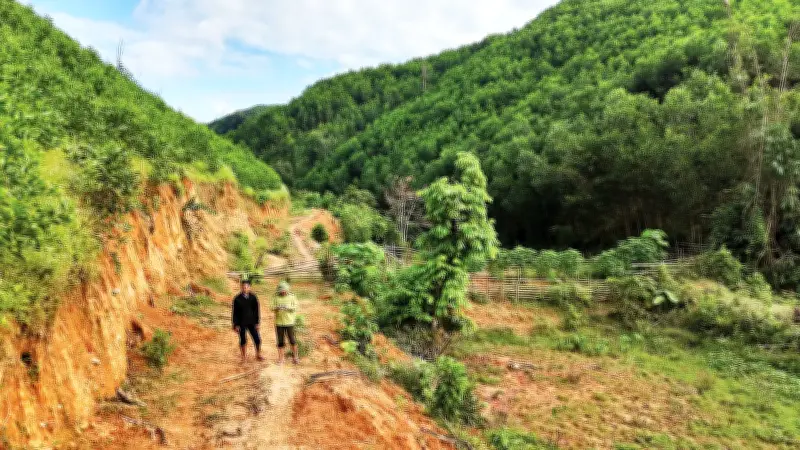 Chính phủ ban hành Nghị định về sàn giao dịch carbon, thiết lập mô hình vận hành tập trung