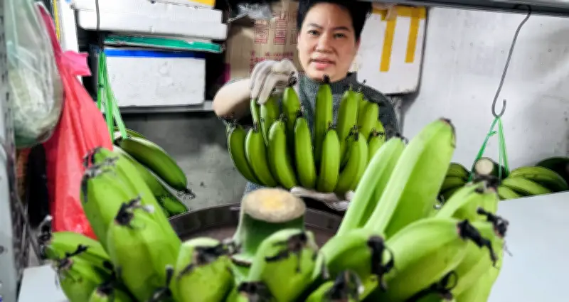 Chuỗi xanh cho Tết Bính Ngọ: Hơn nhau một quả lê giá lên đến tiền triệu