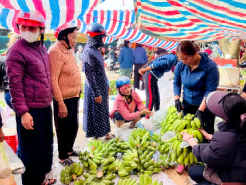 Chuối Xanh Hà Tĩnh 'Sốt' Giá Cận Tết Bính Ngọ Do Nguồn Cung Khan Hiếm