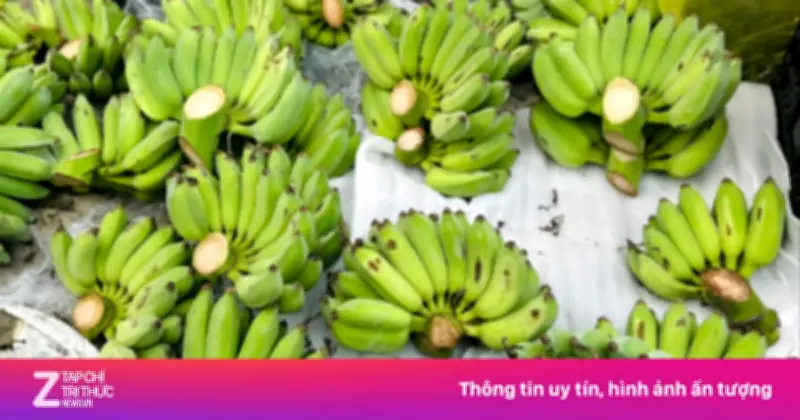 Chuối Xanh Lộc Tài 'Cháy Hàng' Dịp Tết Bính Ngọ, Giá Lên Đến 700.000 Đồng/Nải Tại Hà Tĩnh