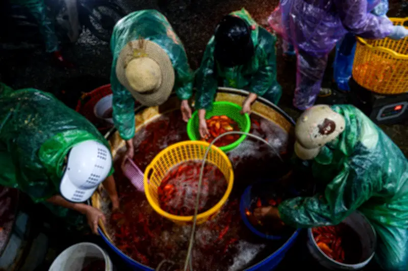 Chợ cá Yên Sở nhộn nhịp cung ứng cá chép đỏ dịp ông Công ông Táo