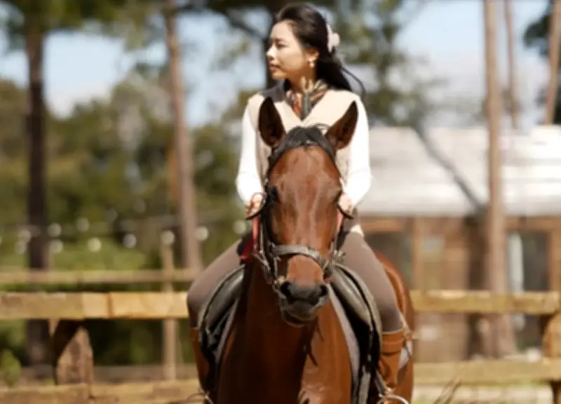 Cưỡi Ngựa Khám Phá Rừng Già Măng Đen: Điểm Nhấn Du Lịch Đầu Năm