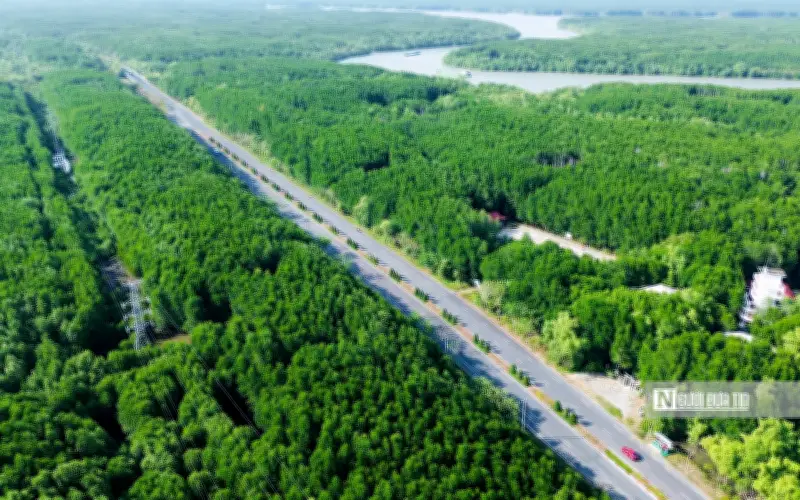 Cần Giờ: Từ vùng ven biển yên ả đến đô thị sinh thái chiến lược của TP.HCM