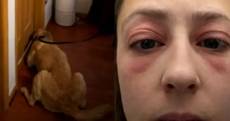 Căn nhà mơ ước thành cơn ác mộng: Cặp vợ chồng tốn 270 triệu đồng vì nấm mốc đen