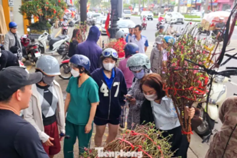 Cơn Sốt Hoa Tết Đà Nẵng: Livestream Hàng Về, Khách Chen Chân Mua, Không Còn Cảnh Mặc Cả