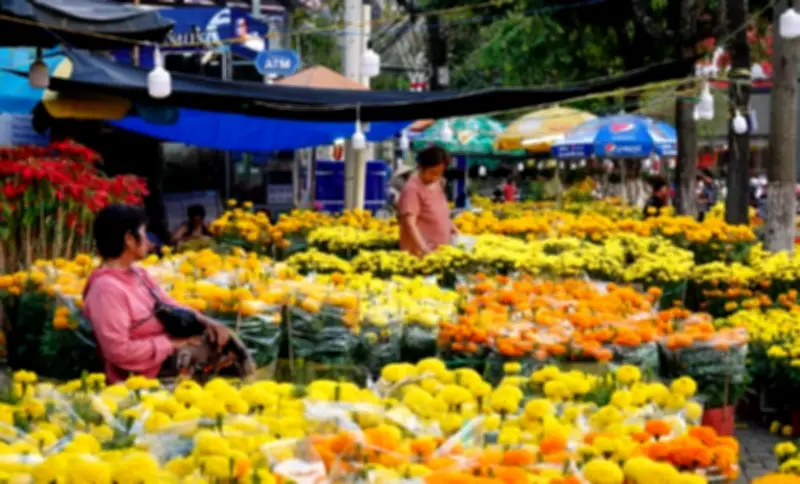 Cần Thơ khai mạc chợ hoa xuân quy mô lớn với gần 600 gian hàng