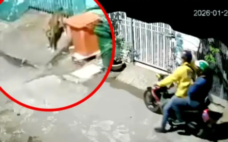 Công an TP.HCM bắt tạm giam hai đối tượng trộm chó bằng súng điện tự chế