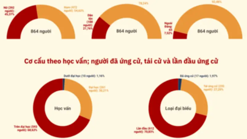Công bố danh sách chính thức những người ứng cử đại biểu Quốc hội khóa XVI