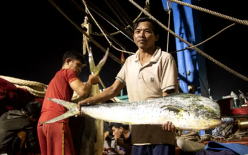 Cảng cá Thọ Quang nhộn nhịp cuối năm, ngư dân hối hả chạy chuyến biển cuối