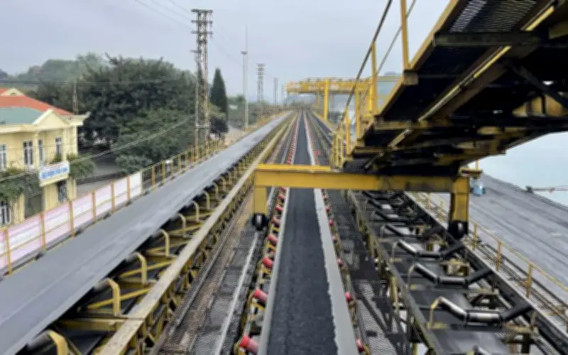 Công ty Than Miền Bắc TMB ghi nhận lợi nhuận thuần giảm hơn 81% trong năm 2025