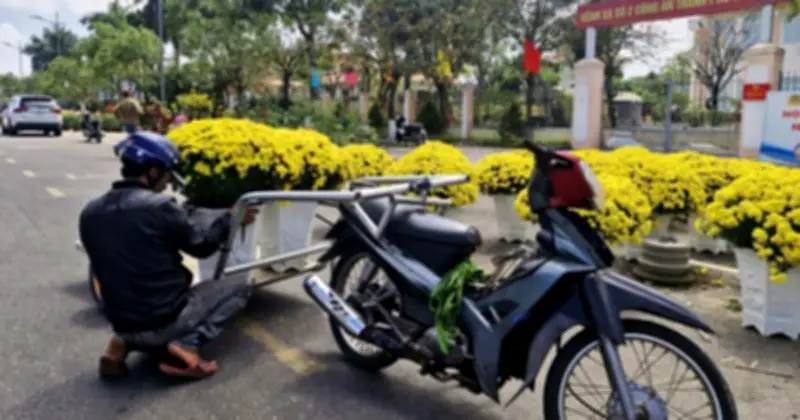 Công việc cuối năm níu chân, nhiều người Đà Nẵng đợi 29 Tết mới mua cây cảnh