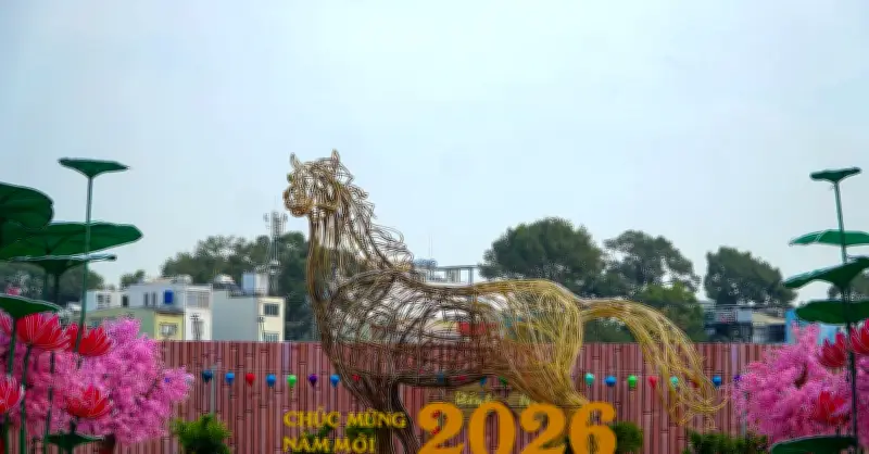 Công viên hoa xuân 152 Trần Phú: Không gian xanh mới cho cộng đồng trung tâm Sài Gòn