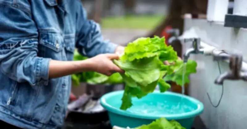 Cảnh báo: 4 cách rửa rau phổ biến nhưng phản tác dụng, vừa mất dinh dưỡng vừa không loại bỏ thuốc trừ sâu