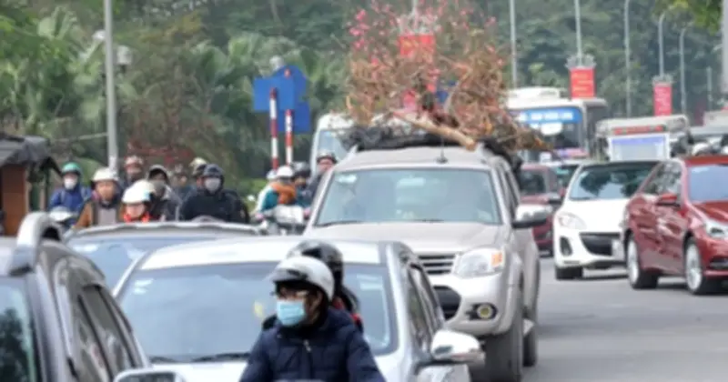 Cảnh báo: Chở cành đào, đồ đạc trên nóc ô tô dịp Tết có thể bị phạt tới 800 nghìn đồng