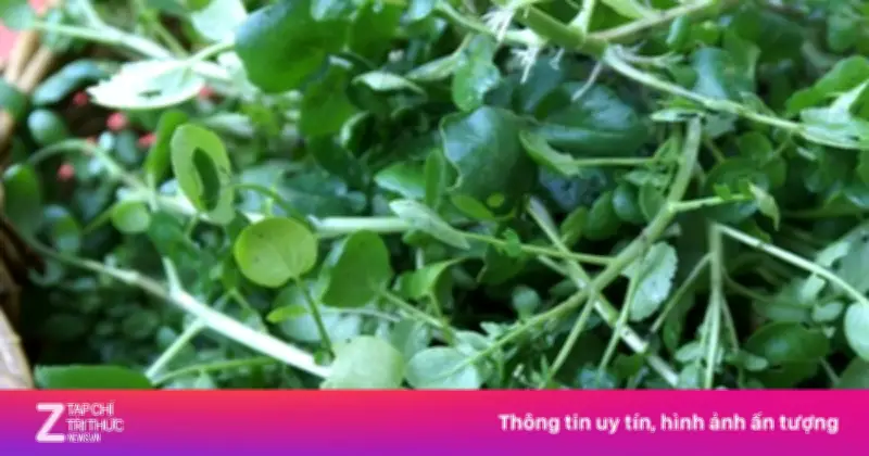 Cảnh báo: Cải xoong chứa nhiều ký sinh trùng, cần rửa kỹ và nấu chín