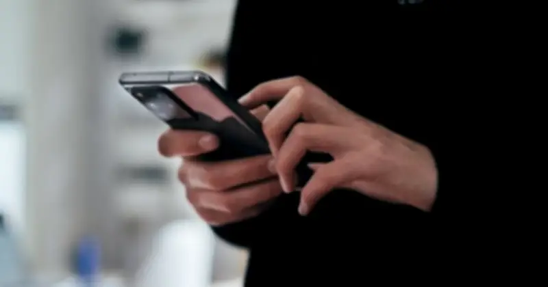 Cảnh báo lừa đảo bán cây cảnh online dịp Tết 2026 tại Cà Mau