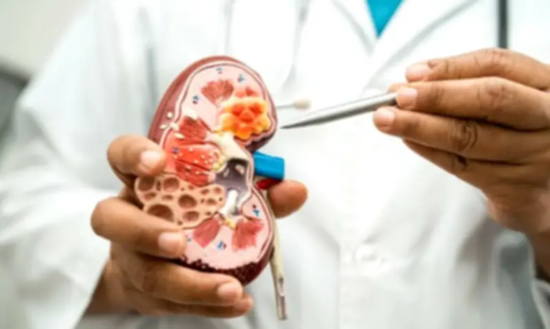 Cảnh báo: Món ăn 'thuốc bổ' thận động vật thực chất là khắc tinh của hệ bài tiết