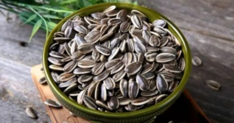 Cảnh báo: Ăn nhiều hạt hướng dương dịp Tết dễ gây sỏi thận và nhiều tác hại sức khỏe