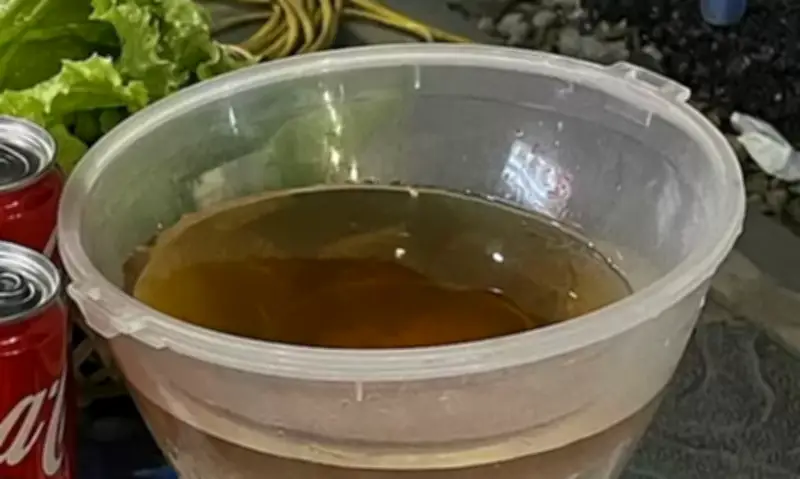 Cảnh báo ngộ độc rượu: Mức cồn trong máu và cách phòng tránh an toàn