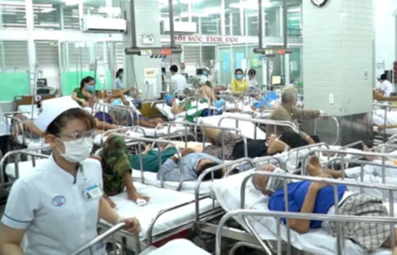 Cảnh báo ngộ độc thực phẩm dịp Tết: Chuyên gia chỉ ra nguyên nhân và cách phòng tránh