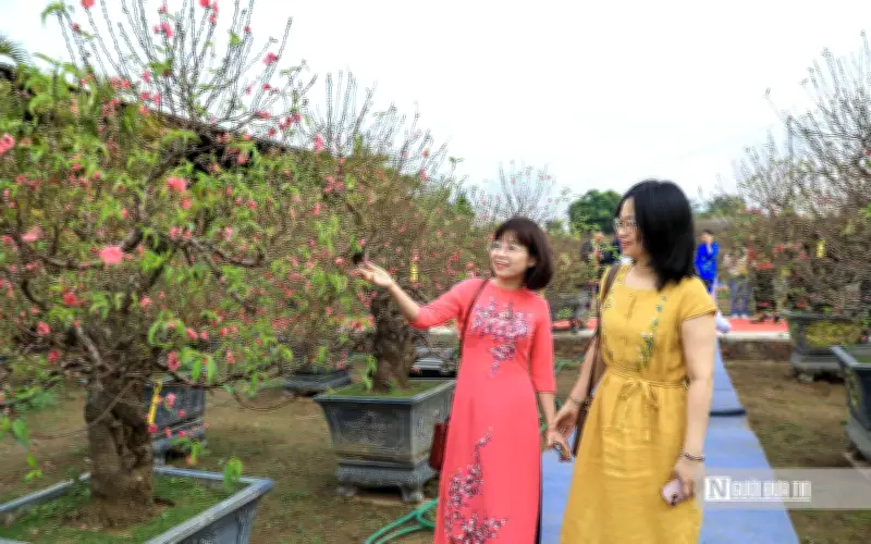 Cảnh báo đột quỵ dịp Tết 2026: Chuyên gia tim mạch chỉ 5 điểm cần lưu ý