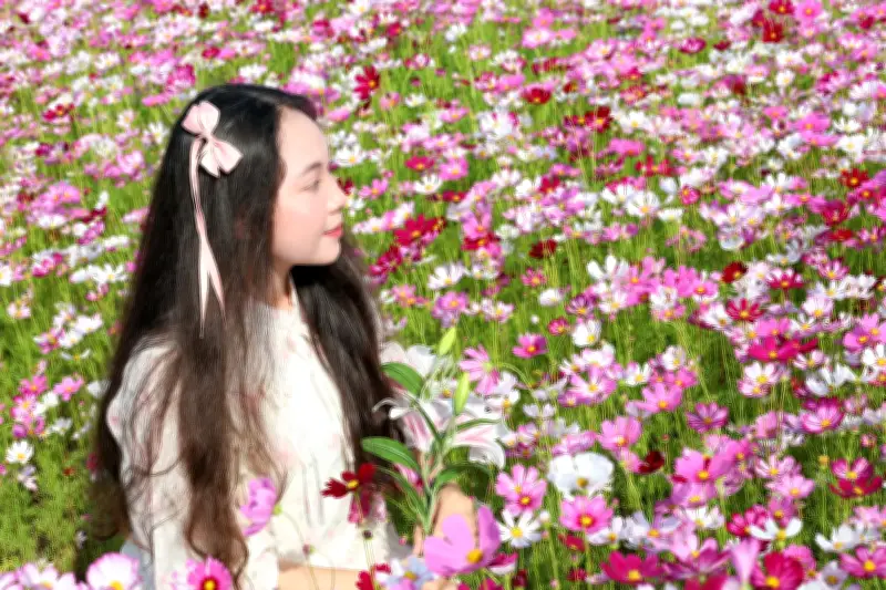 Cánh đồng hoa sao nhái lớn nhất Cà Mau thu hút hàng trăm khách mỗi ngày