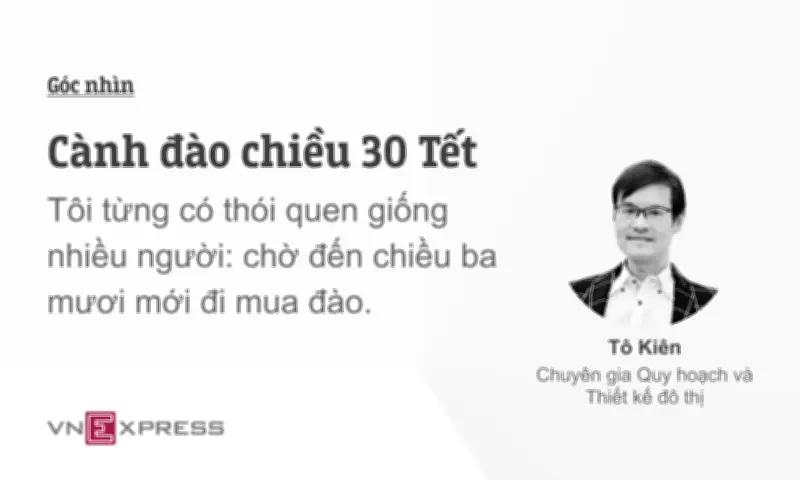 Cành Đào Và Cơn Bão Giá Tết: Từ Mặc Cả Đến Thấu Cảm Trong Giao Dịch
