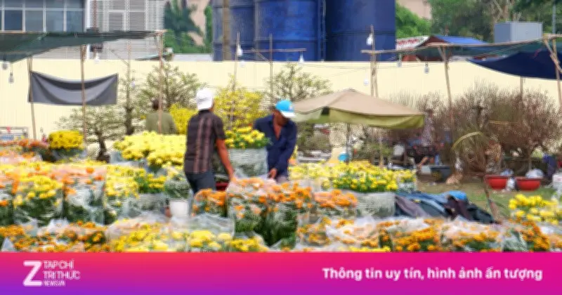 Cảnh trái ngược giữa chợ hoa Tết 'nhà giàu' và bình dân tại TP.HCM