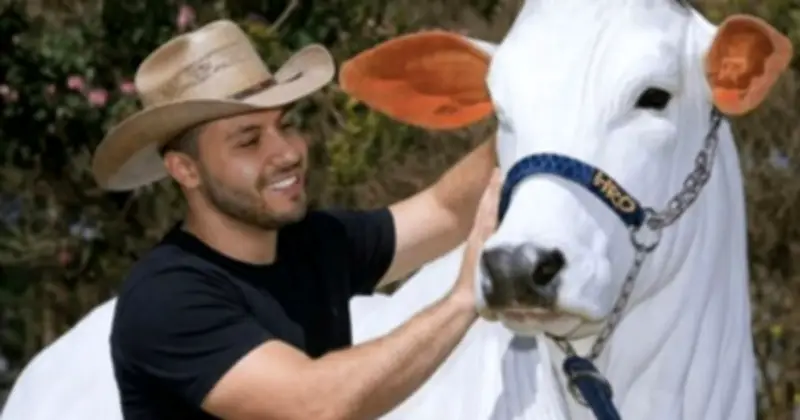 Con bò đắt nhất thế giới giá 4,3 triệu USD: Bí mật di truyền và thách thức nhập khẩu