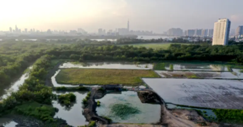 Con trai tự ý làm sổ đỏ đứng tên riêng khi đất chưa chia thừa kế