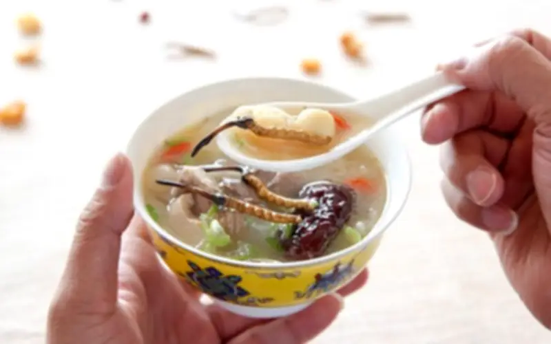 Đông Trùng Hạ Thảo: Bồi Bổ Sức Khỏe, Không Phải 'Thần Dược' Như Lời Đồn