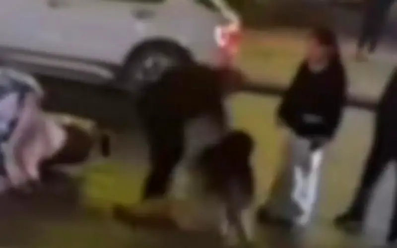 Cặp vợ chồng bị bắt vì hành hung bé gái 15 tuổi sau va chạm xe ở Hà Nam