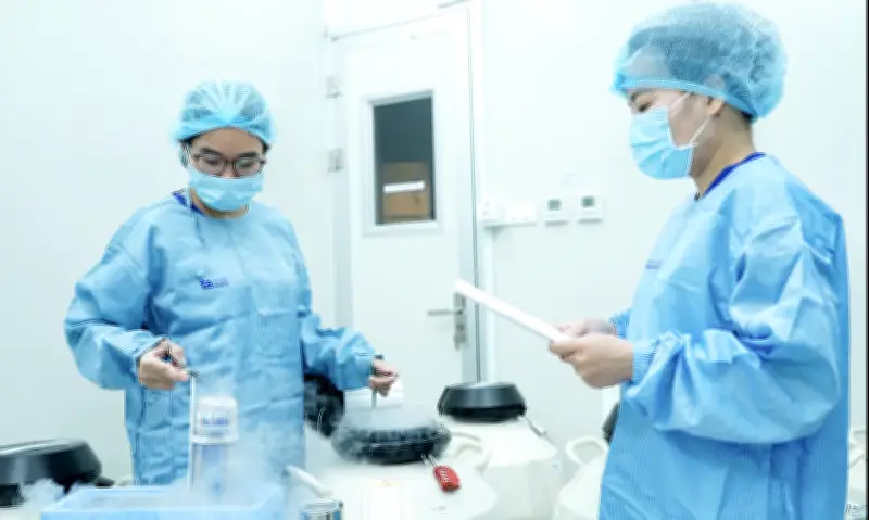 Cặp vợ chồng kiều bào tìm hy vọng sinh con tại Việt Nam sau biến chứng IVF ở Mỹ